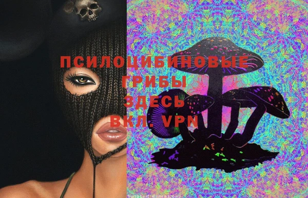дживик Абинск