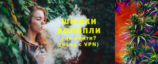 сатива Касимов