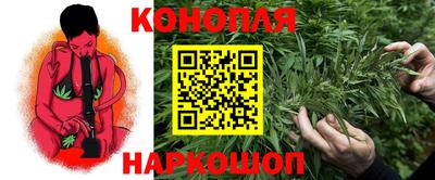 ГАЛЛЮЦИНОГЕННЫЕ ГРИБЫ Новозыбков
