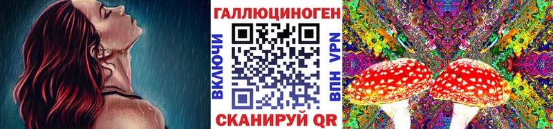 Галлюциногенные грибы Magic Shrooms  blacksprut онион  Химки  купить закладку 