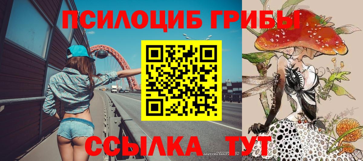 Химки  Галлюциногенные грибы мицелий  Вход с VPN  Псилоцибиновые грибы Psilocybine cubensis 