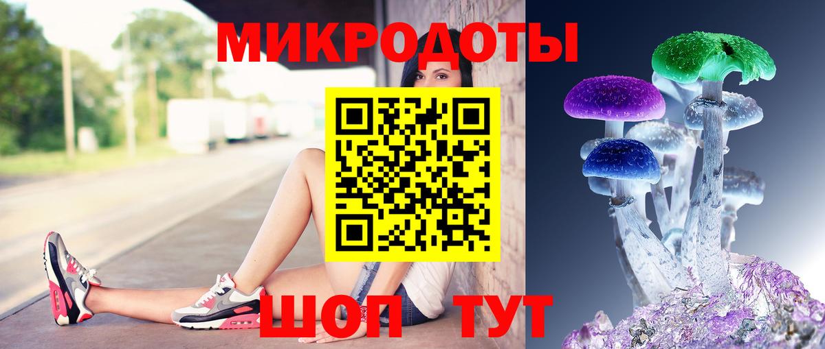 Галлюциногенные грибы Psilocybe Химки